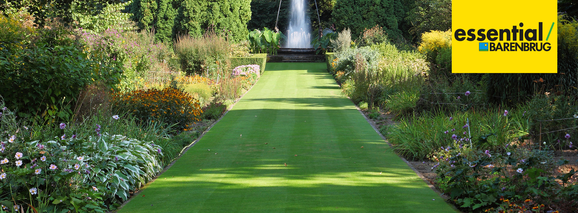 Landscaping Grass Seed | Barenbrug UK