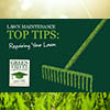 How to Repair Your Lawn