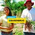 Produtor rural do Ceará atinge ótimo desempenho no período da seca com o uso da Brachiaria híbrida cv. Sabiá