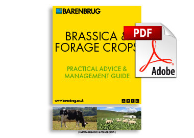 Brassica%26ForageCrops_PDF.jpg