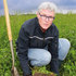 Better availability of phosphate with grass and clover
