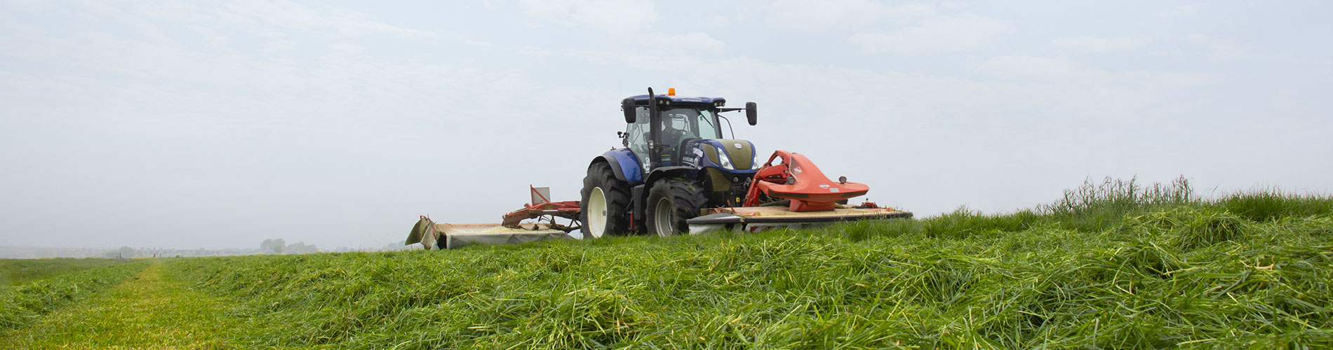 When to first discount cut new grass