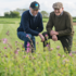 British farmers growing grass for seed