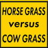 Horse grass versus cow grass: the importance of good grass