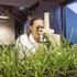 Barenbrug invests in climate-resistant grass solution technology to tackle environmental issues