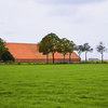Gras kweken in Nederland