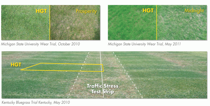 HGT performed better than Prosperity and Midnight, even when in traffic