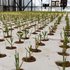 Nieuw hydroponics systeem in Wolfheze grote aanwinst