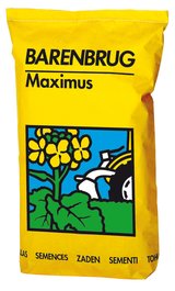 Packshot_Maximus_HR