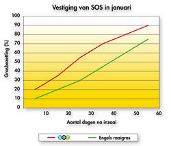Bij lage temperaturen vestigt SOS zich meer dan 18 dagen sneller dan Engels raaigras.
