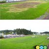 SOS Cool Season redder stadion i Alaska