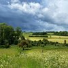 Grass and herbal leys: a strategic, sustainable choice for UK farmers