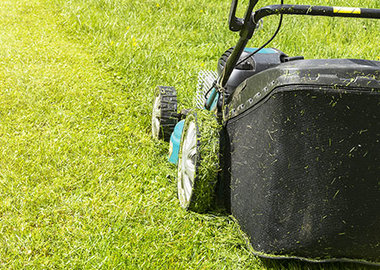 How To Aerate Your Lawn From The Menards Garden Center Untitled
