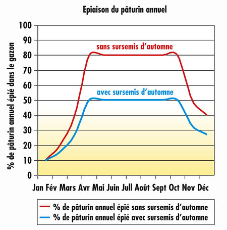 Epiaison du paturin anuel