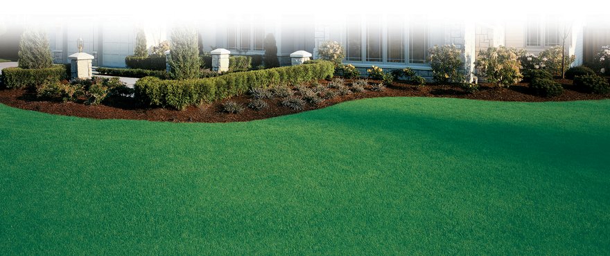 Water Saver golf