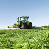 Fokus på høstsikkerhed ved valg af græsblanding