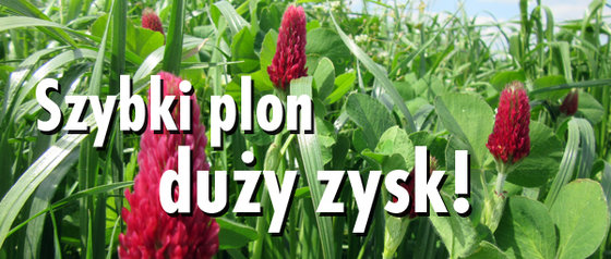 Newsletter_9Szybki Plon 