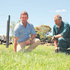 Over-sowing Boosts Pasture