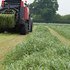 Reseeding grass could deliver ten-fold return on investment