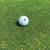 Ryegrass For Golf Greens