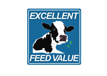 Excellent feed value luzerne