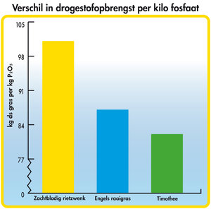 Verschil in drogestofopbrengst per kilo fosfaat