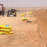 Drought tolerant Water Saver grass in desert Saudi Arabia