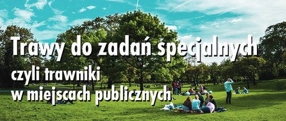 GAZONY_Newsletter_Trawy_do_zadan_specjalnych