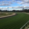 MVRC turf trials yield first-class results