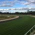 MVRC turf trials yield first-class results