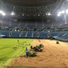 The seed of champions from Barenbrug at FIFA World Cup: Dutch grass in Russia