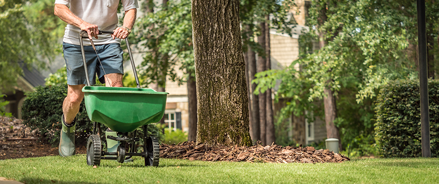 Contractors mix shop grass seed