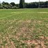 Overseeding Sports Pitches