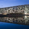 Gras Olympisch stadion Beijing van Barenbrug