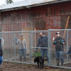 Research team helps Linn County Animal Rescue - USA