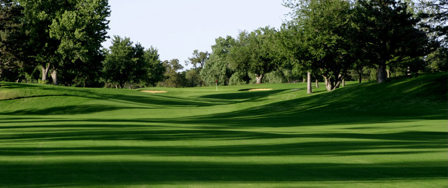 Monaco Bermudagrass Seed Barenbrug Usa