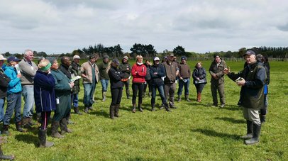 Danny Donaghy talks pasture management