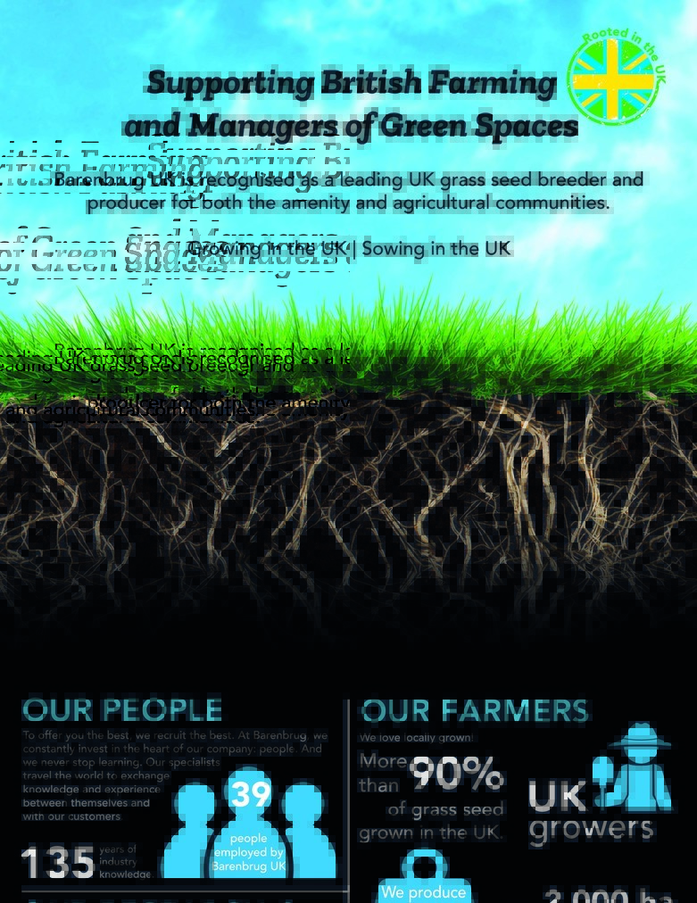 Barenbrug shop grass seed