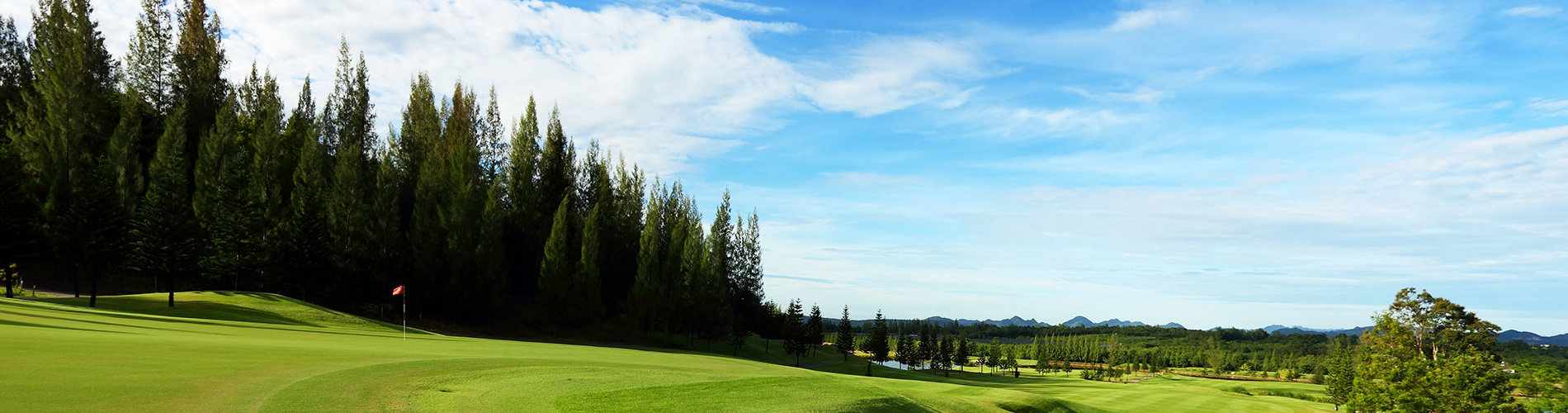 Grass Seed For Professional Turf Barenbrug Usa