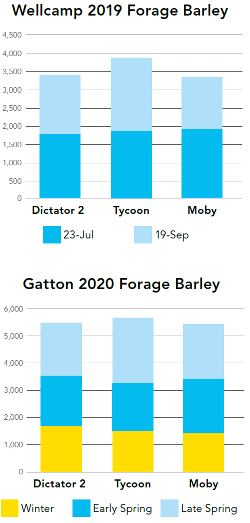 Wellcamp 2019 Forage Barley graph - Gatton 2020 Forage barley graph