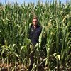 HM-114 corn from Barenbrug offers high yields and quality