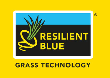 Logo-Resilient-Blue-2024-yellow!
						