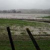 Flood damaged pastures? Pasture recovery checklist - 9 steps to get paddocks up & growing again after flooding