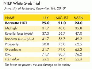 White Grub Trial