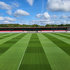 Bristol City FC uses Elite Sport grass