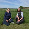 New grass Dundrod joins family of Recommended List varieties from Barenbrug