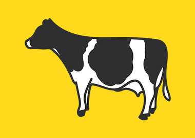 NF_healthy_cows_banner_be!
						