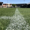 Introducing Duo Pro™ | Perennial/Annual Ryegrass Mixture