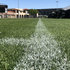 Introducing Duo Pro™ | Perennial/Annual Ryegrass Mixture