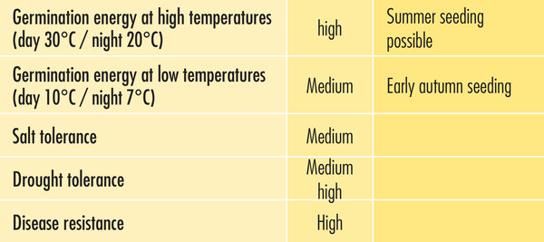 Additional features Barsignum